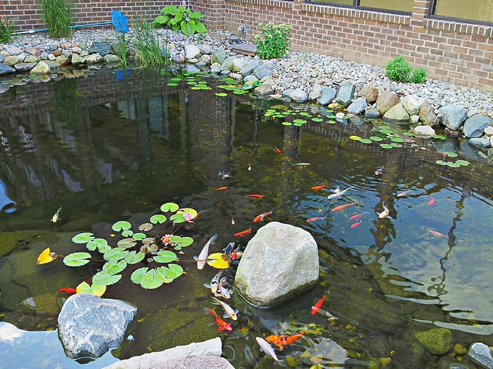 Causeway Bay Hotel Ленсинг Экстерьер фото